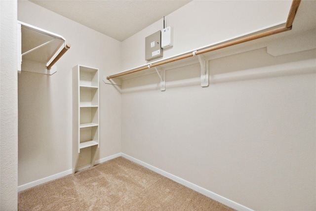 12311 Carriage Oak Cir, Humble, TX 77346 - spacious closet with carpet floors