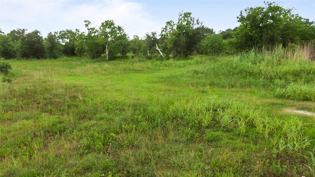 00 Heller Rd, Anahuac, TX 77514