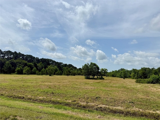 00 Heller Rd, Anahuac, TX 77514 - photo 1