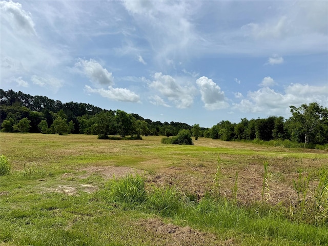 00 Heller Rd, Anahuac, TX 77514 - photo 3