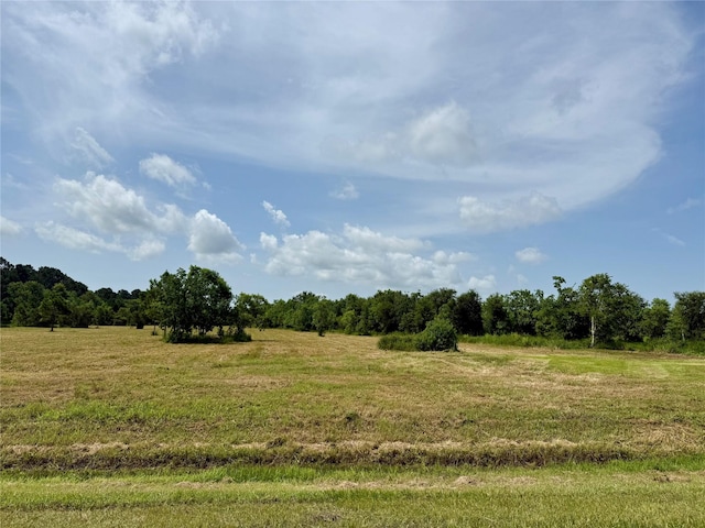 00 Heller Rd, Anahuac, TX 77514 - photo 4
