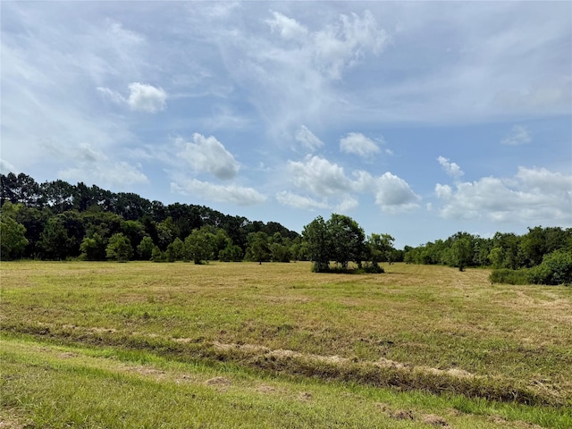 00 Heller Rd, Anahuac, TX 77514 - photo 5