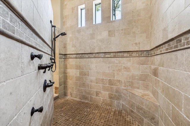 27521 Velvet Sky Way, Spring, TX 77386 - bathroom featuring tiled shower