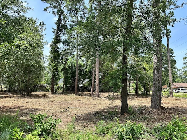 0 Tallow Dr, Conroe, TX 77385 - photo 2