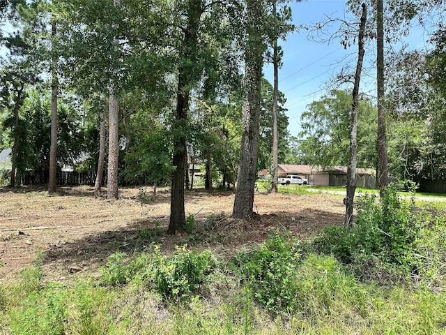 0 Tallow Dr, Conroe, TX 77385 - photo 3