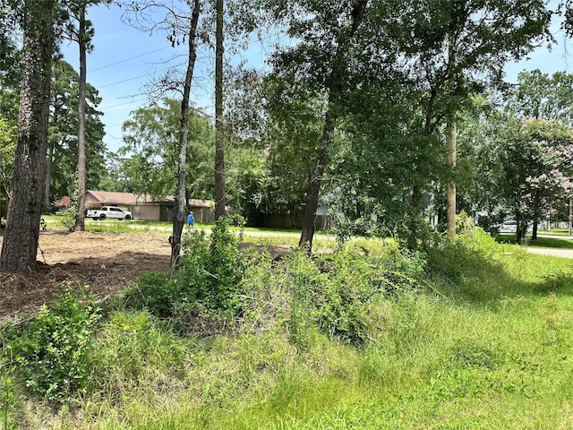 0 Tallow Dr, Conroe, TX 77385 - photo 10