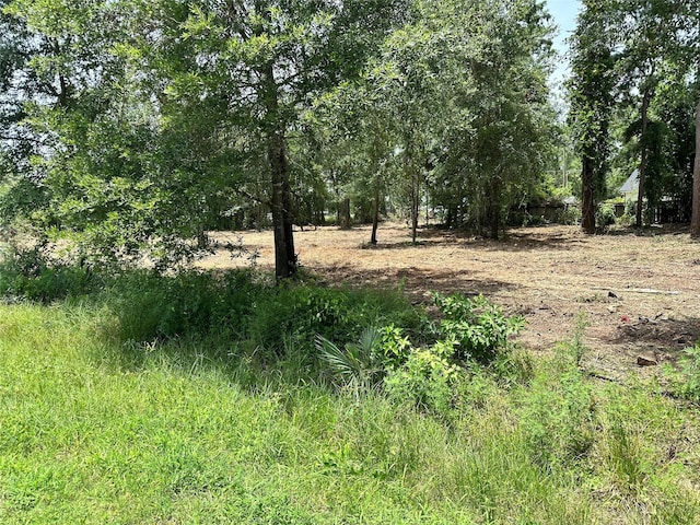 0 Tallow Dr, Conroe, TX 77385 - photo 11