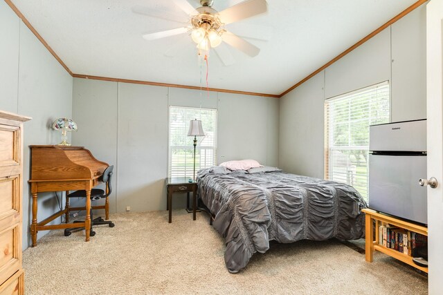 178 Brazos Dr, Angleton, TX 77515 - photo 27