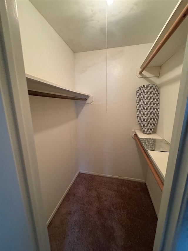 355 Audrey Ln Unit 355, Houston, TX 77015 - walk in closet featuring carpet
