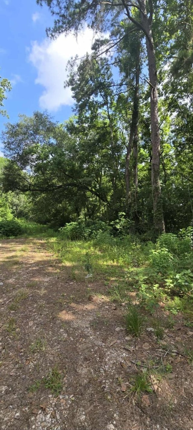 TBD Ponderosa Cir, Conroe, TX 77302