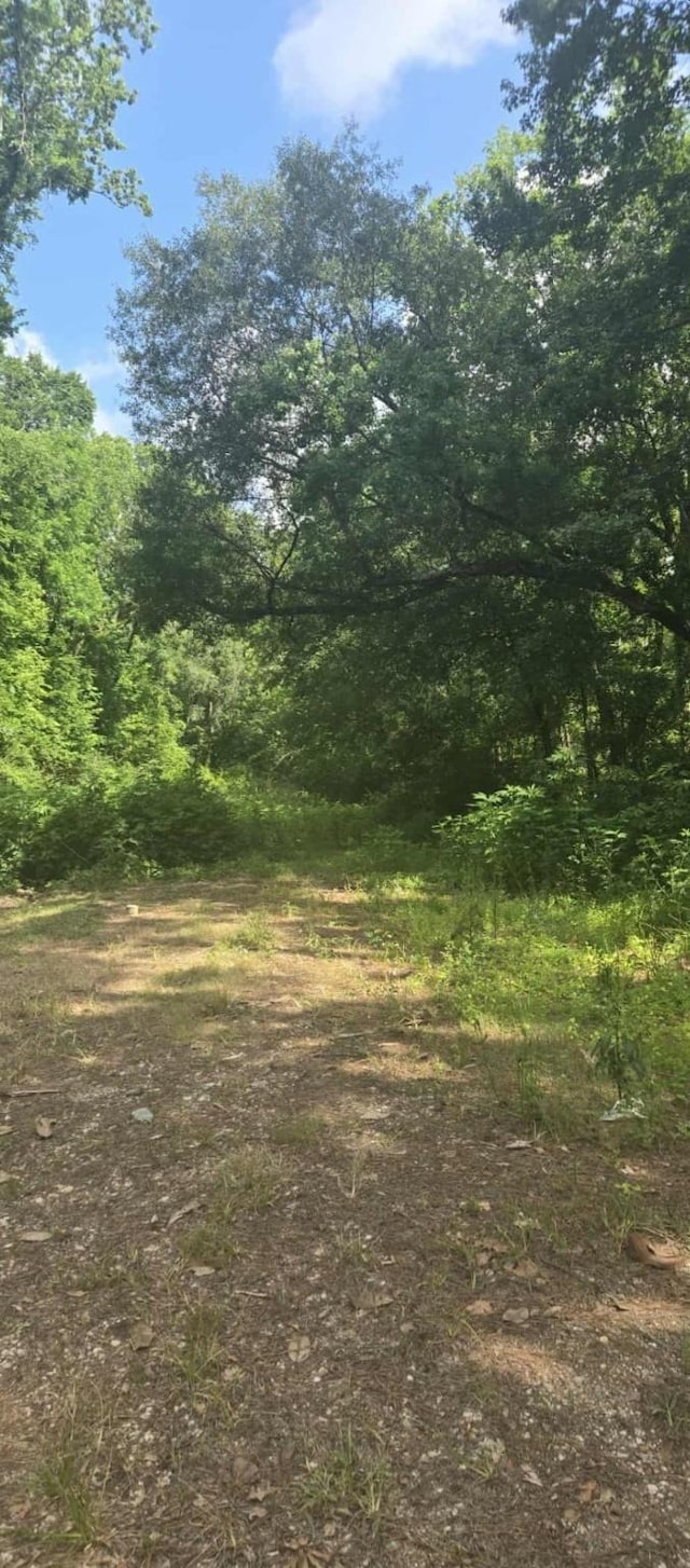 TBD Ponderosa Cir, Conroe, TX 77302