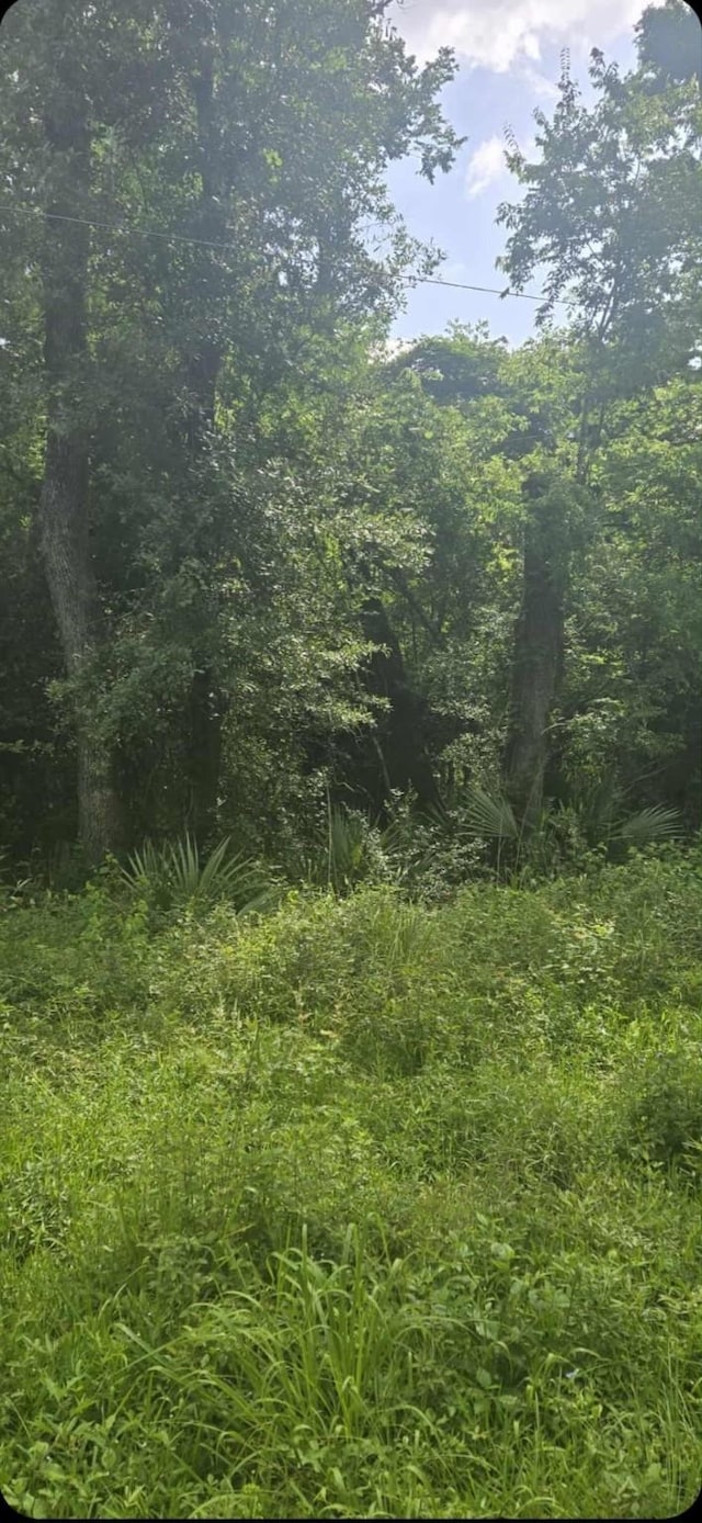 TBD Ponderosa Cir, Conroe, TX 77302