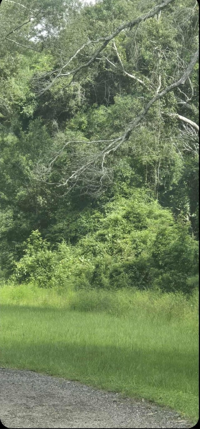 TBD Ponderosa Cir, Conroe, TX 77302