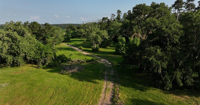 2268S Fm 1486, Montgomery, TX 77316
