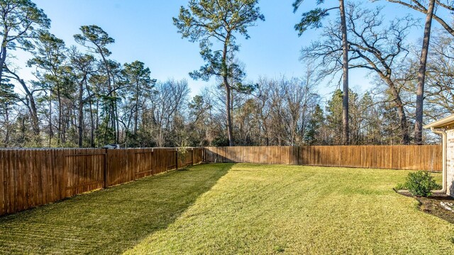 24630 Charlton Green Ln, Spring, TX 77389 - view of yard