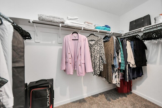 31811 Whittis Hill Way, Fulshear, TX 77441 - spacious closet with carpet floors