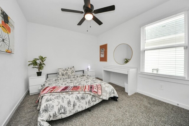 31811 Whittis Hill Way, Fulshear, TX 77441 - bedroom with carpet, multiple windows, and baseboards