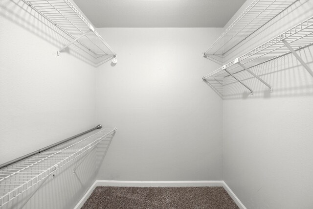 206 Plaza Verde Dr Unit D35, Houston, TX 77038 - spacious closet featuring carpet flooring