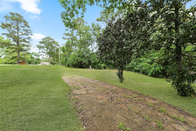 560 Donahoe Rd, Coldspring, TX 77331 - view of grassy yard