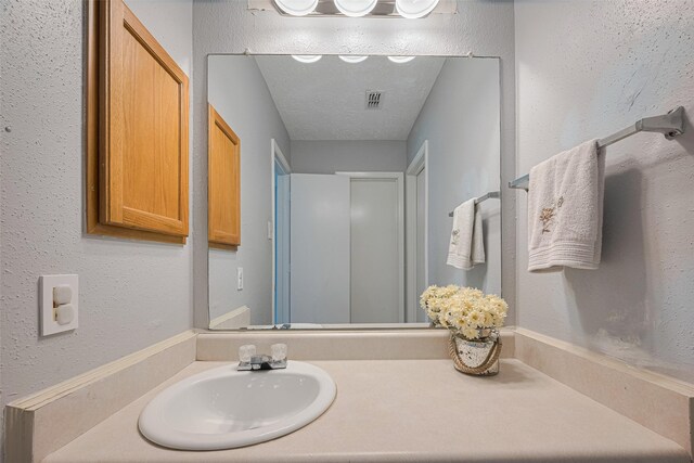19531 Lazy Valley Dr, Katy, TX 77449 - bathroom with vanity, a textured wall, and a textured ceiling