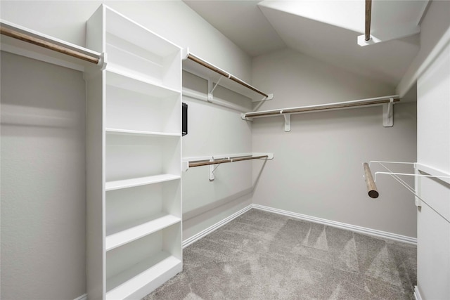 3677 Pinewood Bend Ln, Spring, TX 77386 - spacious closet featuring carpet floors and vaulted ceiling