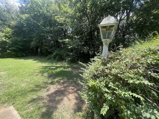 530 E Cherry St, Paris, TX 75460 - photo 4