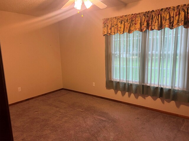 440 An County Road 1405, Elkhart, TX 75839 - photo 16