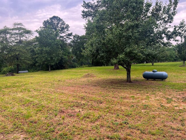 440 An County Road 1405, Elkhart, TX 75839 - photo 21