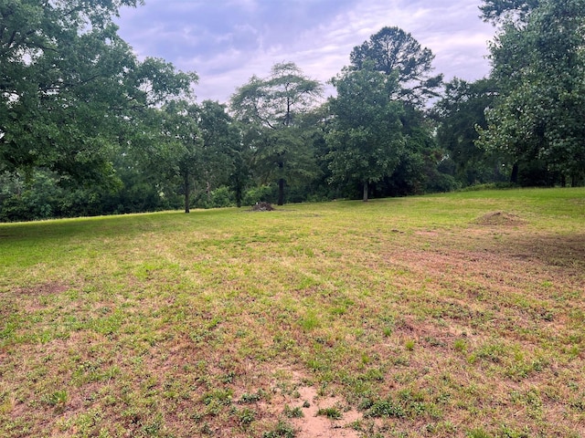 440 An County Road 1405, Elkhart, TX 75839 - photo 22