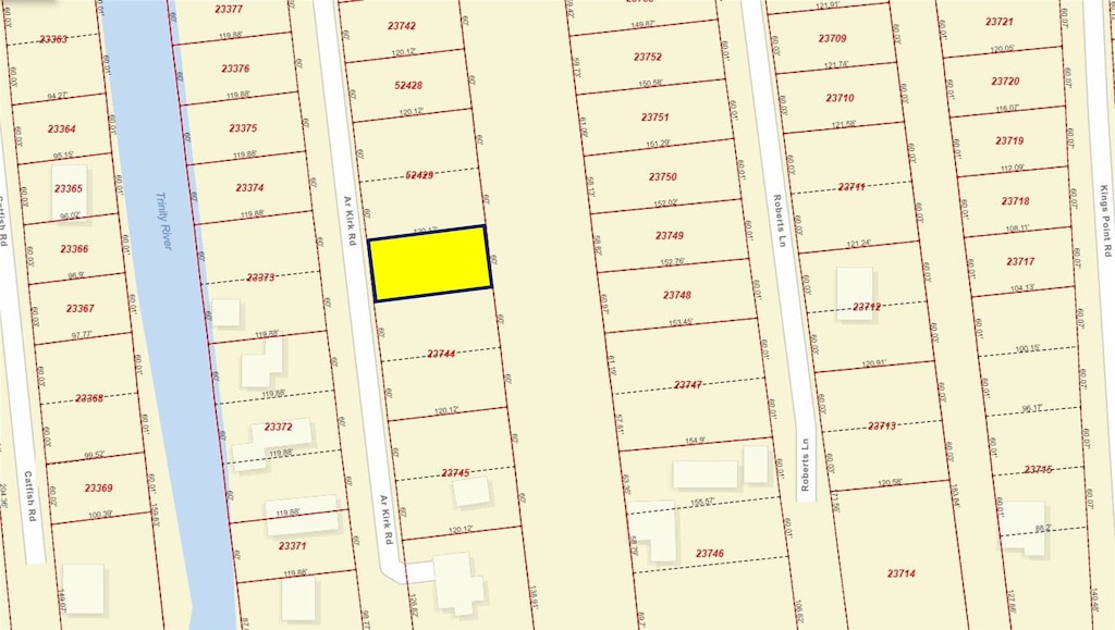 31 A R Kirk Rd, Trinity, TX 75862