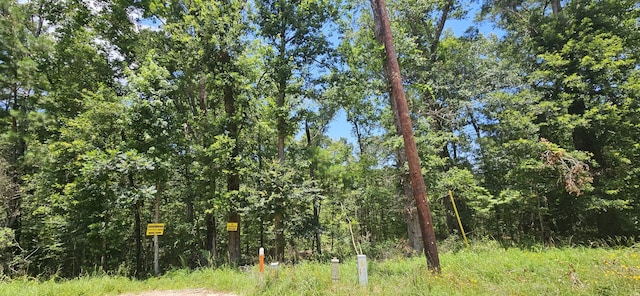 0 Harrell Rd, Coldspring, TX 77331