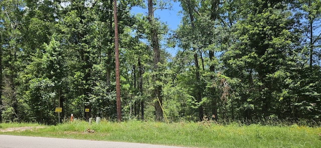 0 Harrell Rd, Coldspring, TX 77331