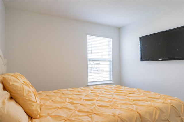 12327 Brandenburg Gate Dr, Houston, TX 77047 - view of bedroom