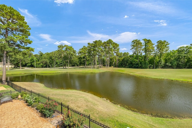 16119 Villa Fontana Way, Houston, TX 77068 - water view with a tree filled landscape