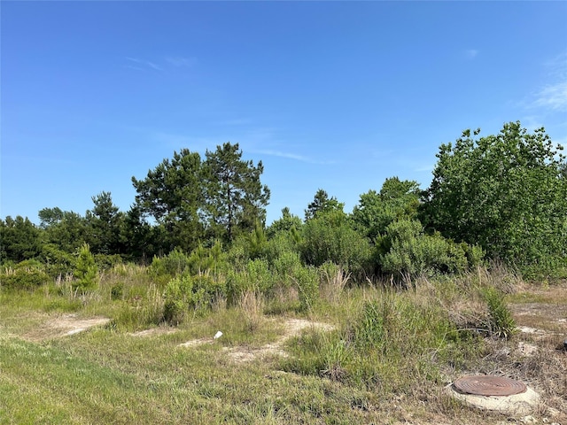 67 Rd 5102, Cleveland, TX 77327