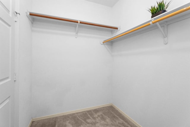 2815 Kings Crossing Dr Unit 102, Houston, TX 77345 - walk in closet with carpet floors