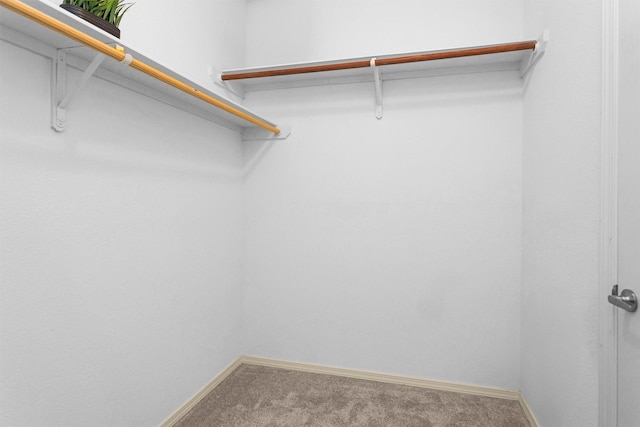 2815 Kings Crossing Dr Unit 102, Houston, TX 77345 - walk in closet with carpet floors