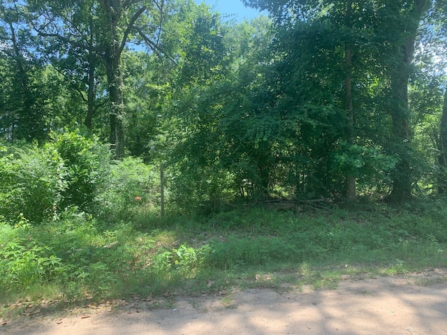 301 Hensley Ln, Shepherd, TX 77371 - photo 2