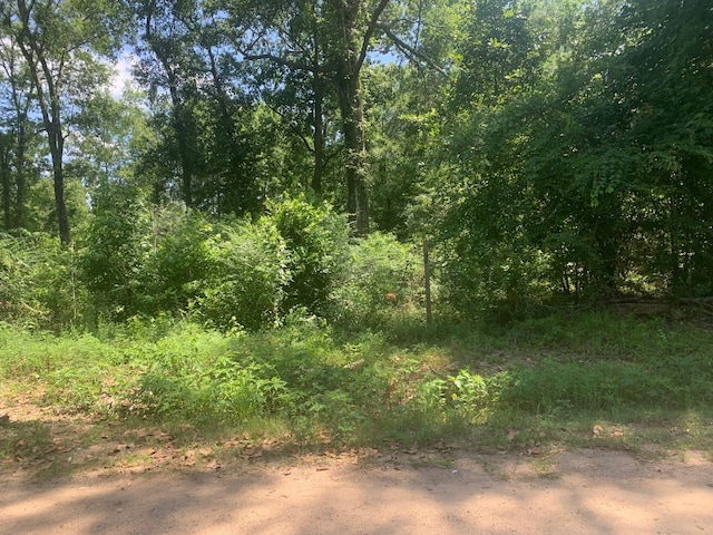 301 Hensley Ln, Shepherd, TX 77371 - photo 3