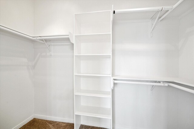 2402 Calumet St Unit C, Houston, TX 77004 - spacious closet featuring carpet flooring
