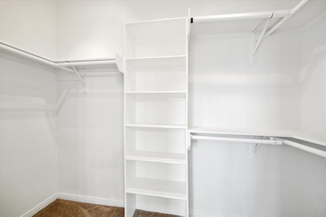 2402 Calumet St Unit C, Houston, TX 77004 - photo 21