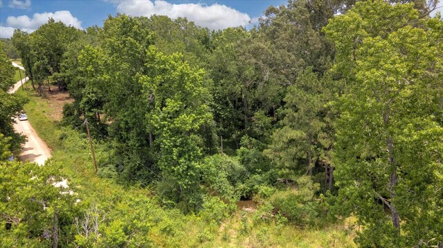 00 Lloyd Fregia Rd, Batson, TX 77519