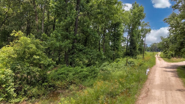 00 Lloyd Fregia Rd, Batson, TX 77519