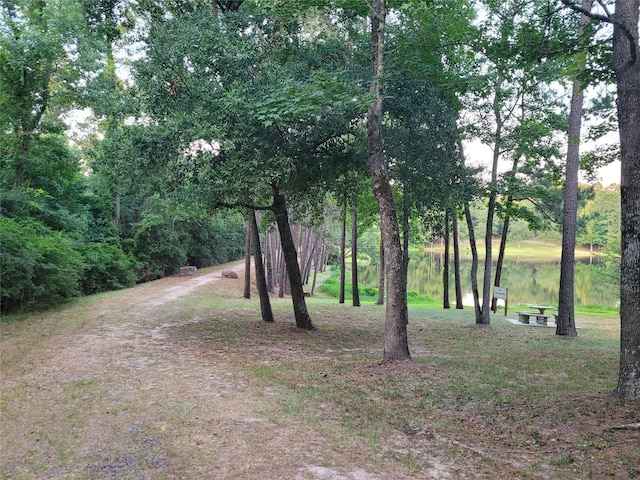 6602 W Bluff Dr, Magnolia, TX 77354