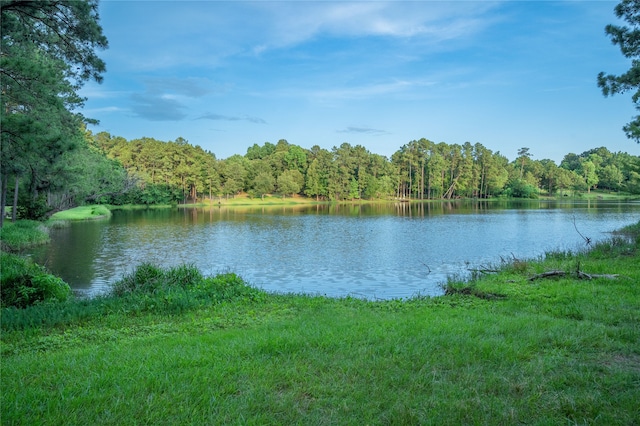 6602 W Bluff Dr, Magnolia, TX 77354