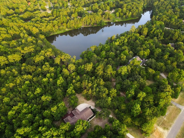 2626 Blue Lake Dr, Magnolia, TX 77354 - bird's eye view of a nearby body of water and a heavily wooded area