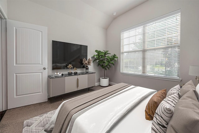 18526 Waterfall Creek Way, Cypress, TX 77429 - bedroom featuring carpet and vaulted ceiling