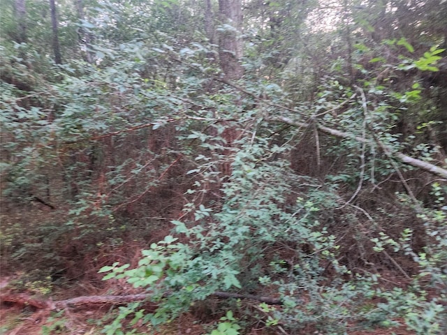 LOT5 Tallowood Dr, Plantersville, TX 77363