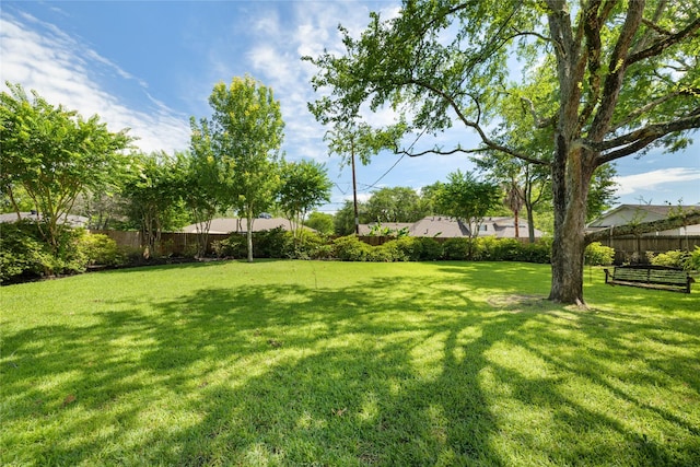 1908 Oak Shadows St, Baytown, TX 77520 - view of yard