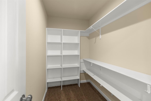 7754 Ave J, Houston, TX 77012 - spacious closet featuring dark colored carpet